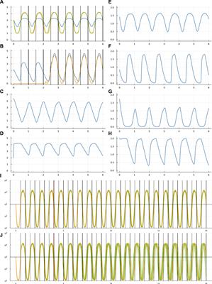 An enhanced transcription factor repressilator that buffers stochasticity and entrains to an erratic external circadian signal